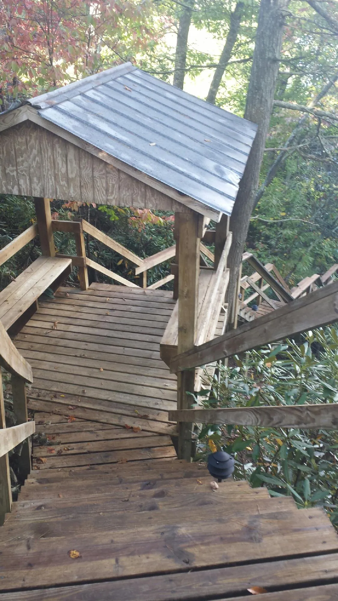 Metal roofed shelter over wooden steps on a wooded walkway — Skylight Repair & Installation work by our crew in Baxley